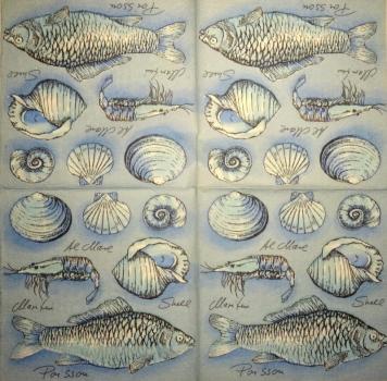 091 Muscheln - 3-lagig (weiß)